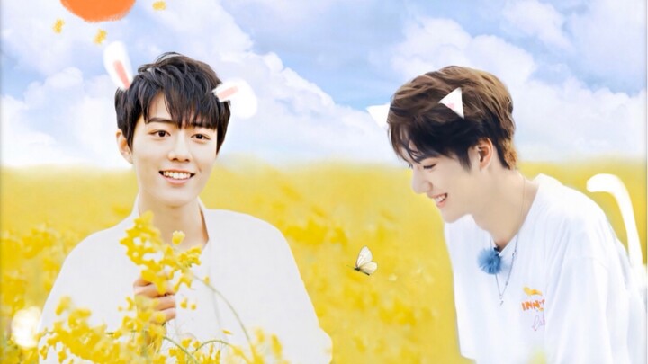 [Bo Jun Yi Xiao] Am I really shipping two goofy idiots? These silly moments had me cracking up! Haha