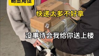 How extensive is the network of dog owners?