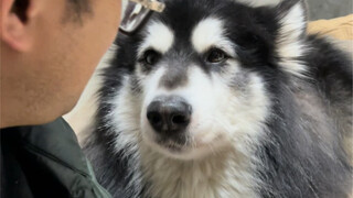 ความสัมพันธ์ระหว่างพ่อและลูกกำลังแตกหัก