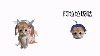 可颂猫，但是八九寺真宵
