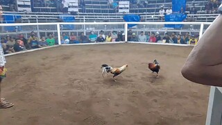 Sweater bulik strike again..
