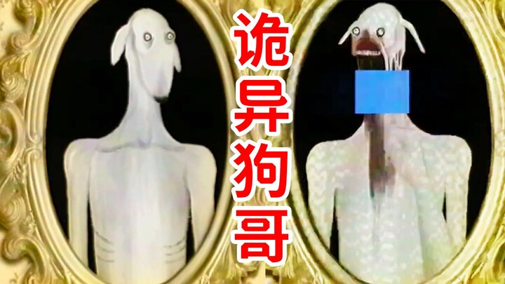 หัวสุนัขสีขาวซีดจากต่างโลก!? หนังสยองขวัญจำลองจากสเปน Experimento 0002 DEXTER