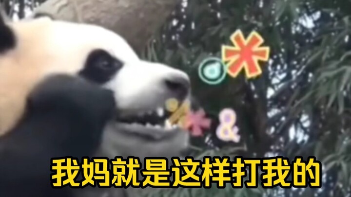 Fubao tugs at her own cheeks and even goes to Grandpa Song to complain.