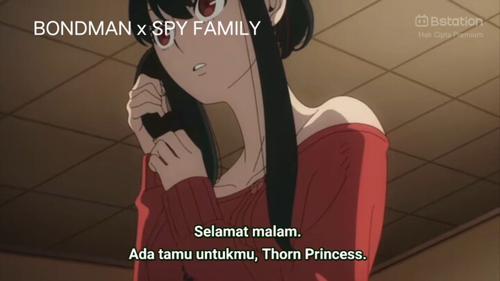 YOR (Thorn Princess) "Sang Pembunuh Bayaran" - SPY x FAMILY