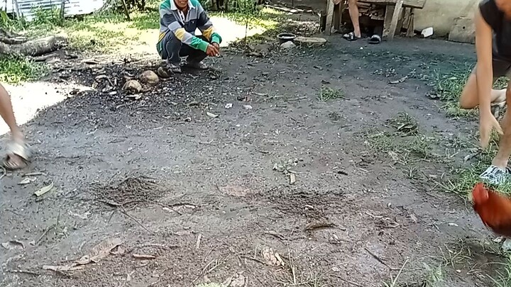 8 months old
