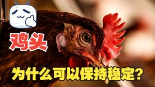 晃动鸡的身体，鸡头为啥可以保持稳定？