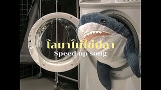 โลมาไม่ใช้ปลา