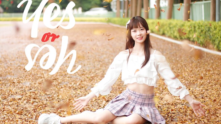 【Little Butterfly】YES or YES ✿ I’m giving you the right to choose~