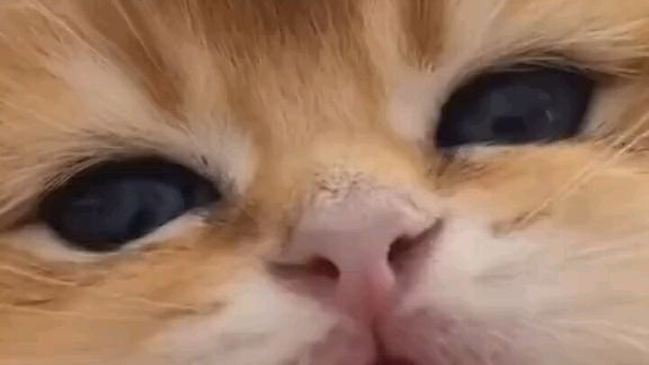 cute:>