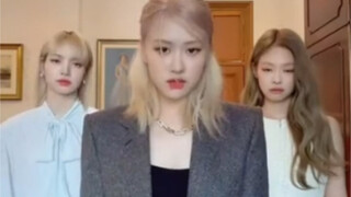 Rosé C位好酷