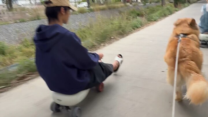 You raise a dog for a thousand days, but only need it for a moment. Not a single bite of dog food is