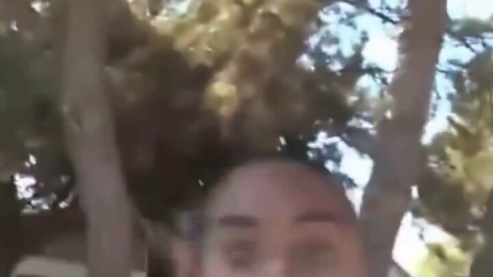 Putin Đại đế chỉ mang theo 🐶 để gặp 🇯🇵 người dân…