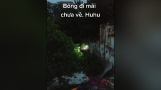 Bạn có sợ cảm giác này? cunyeucuadua yeucho yeuchomeo cún cúncon chó chómèo chócon chókhôn yeuchomeo chócute pet dog dogsoftiktok doggo