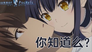 诶，动画剧情魔改了？！夏日口袋动画解说 P5《Summer Pockets》【黒椿解说】