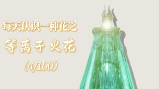 “等离子火花的花语是永夜圣焰与不灭初心。”