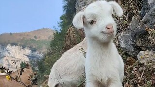 我妈不让我跟你玩