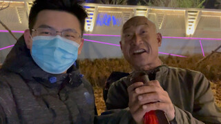 Encountering a strange pigeon swimming in Chaoyang on the road