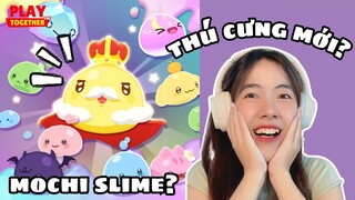 Thú Cưng Mới Mochi Slime Sẽ Xuất Hiện Trong Bản Cập Nhật Tới? | Play Together #sunnieegaming