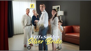 CEO'S Sudden Silver Bride