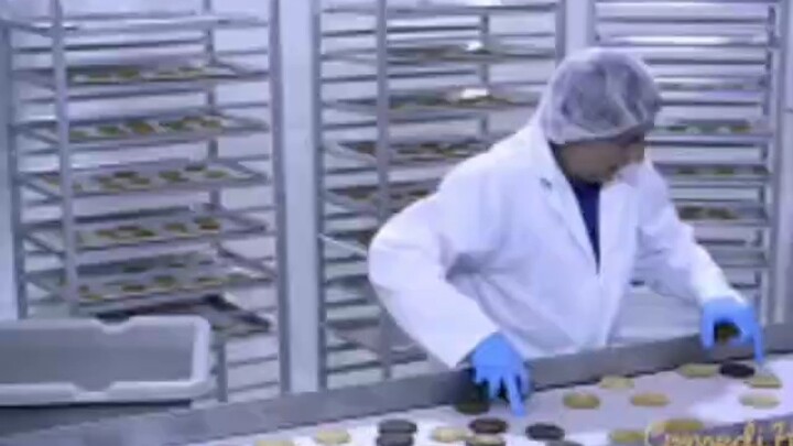 Nắm đấm nhỏ là sự bướng bỉnh cuối cùng