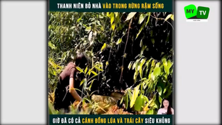 Cuộc sống hoang dã trong rừng p5