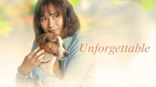 UNFORGETTABLE [2019]
