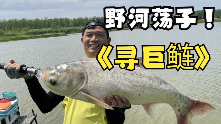 Chasing giant silver carp in the wild river—this whooshing line sound is the ultimate thrill of fish