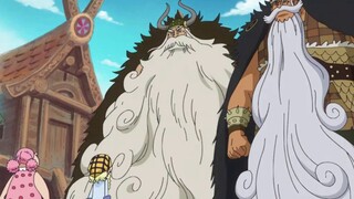 Auntie was overjoyed. Now in the country of Wano, she found two rare races.