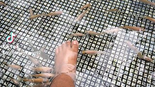 sana buhay pa ang mga isda