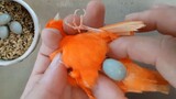 [Động vật]Người đàn ông giúp con chim cố gắng rặn trứng