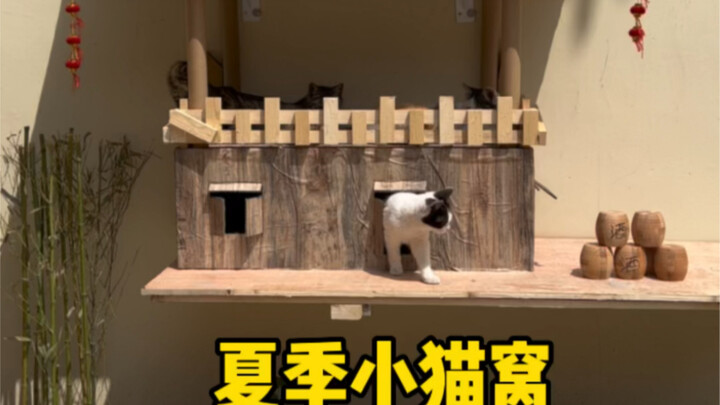 I used cardboard boxes I’d been saving for a month to craft a creative “summer cat shelter” for the 