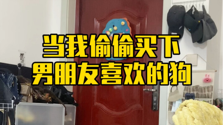 Bought the dog my boyfriend loves and his reaction is HILARIOUS!