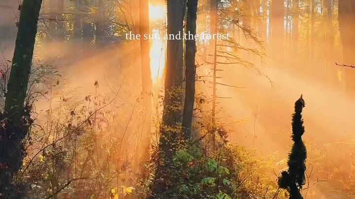 nature ✨