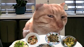 How many days have you been eating leftovers?