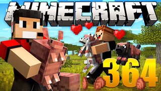 Farm de Tatu - Minecraft Em busca da casa automática #364