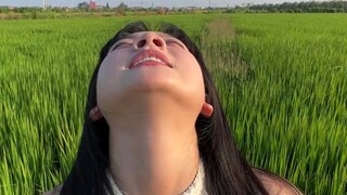 稻田拍照技巧 照片拍照角度 照片拍照