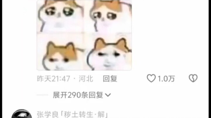 bro把四排全踢了变成单排了？
