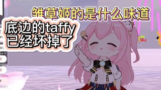 【永雏塔菲】底边的taffy曾尝过雏草姬的果冻