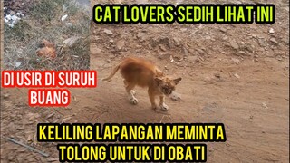 Allahu Akbar Kucing Sakit Scabies Keliling Lapangan Meminta Tolong Sakitnya Untuk Di Obati..!