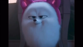 【Giselle】我就说吉吉怎么这么眼熟呢原来在这儿等着我呢