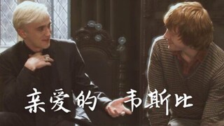 【HP/高虐/剧情】【德罗/跩荣】如果可以回到第一眼。快吃一口我的冷CP，撒一把泼天狗血。【马尔福X罗恩/DMRW】
