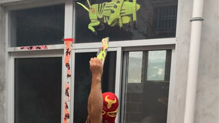 唯一能阻止你的人只有我