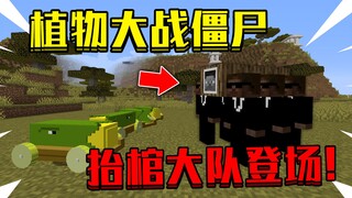 ماينكرافت: نباتات ضد الزومبي PVZ7! مدفع الذرة مقابل فرقة حمل النعش!