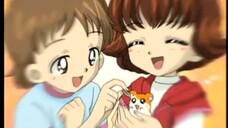 Hamtaro Episode 38 The Precious Letter