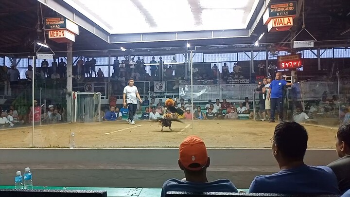 Boston sweater - WIN