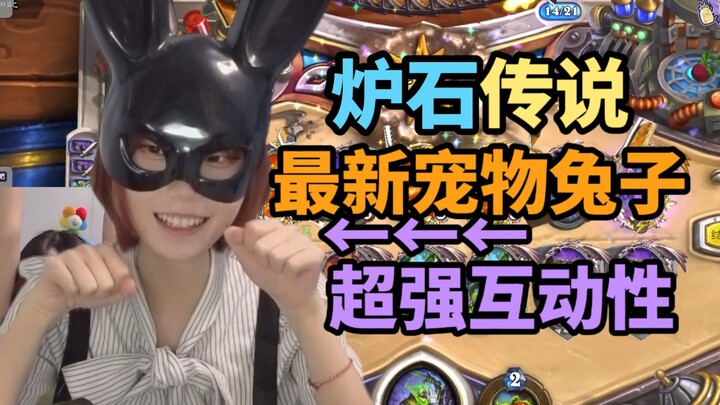“Saya lihat streamer Hearthstone yang lain semua punya hewan peliharaan kecil, kenapa kamu tidak pun
