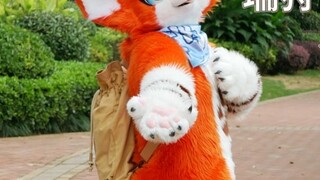 【Fursuit】 Khiêu vũ Đi dạo cùng Bạn trong Trang phục Động vật