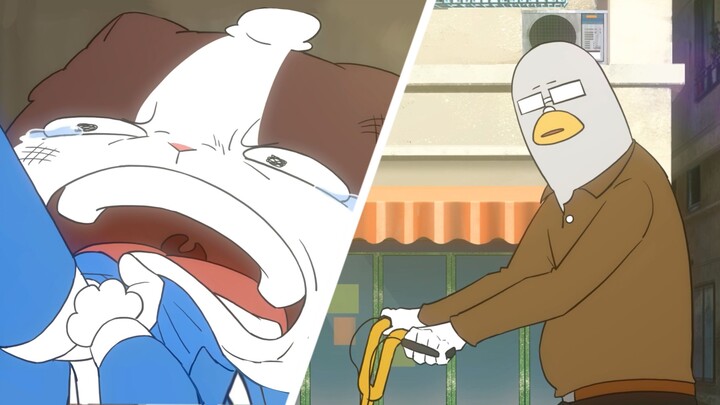 When the head of academics walks out of the school: