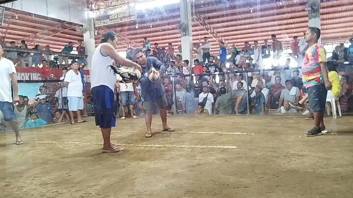 2x winner Hatch Gray