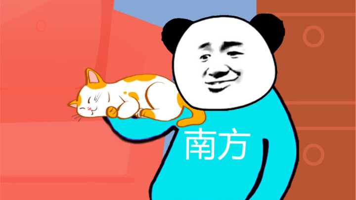 Differences Between Cats in Northern and Southern China